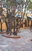 Туры в отель Quinta Las Acacias Туры в отель Quinta Las Acacias