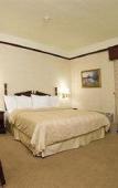 Туры в отель Safi Royal Luxury Centro Туры в отель Safi Royal Luxury Centro