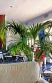 Туры в отель Positano Art - Hotel Pasitea Туры в отель Positano Art - Hotel Pasitea