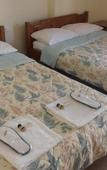 Туры в отель Hotel Oscar Туры в отель Hotel Oscar