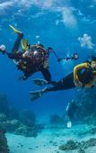Туры в отель Ozen Reserve Bolifushi Туры в отель Ozen Reserve Bolifushi