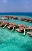 Туры в отель Ozen Reserve Bolifushi Туры в отель Ozen Reserve Bolifushi