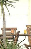 Туры в отель Mercure Cannes Mandelieu Туры в отель Mercure Cannes Mandelieu