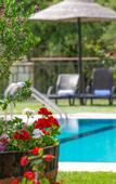 Туры в отель Agrikia Villa Туры в отель Agrikia Villa