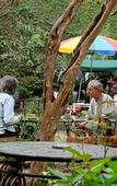 Туры в отель Nirvana Garden Туры в отель Nirvana Garden