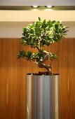 Туры в отель Crowne Plaza Lille Туры в отель Crowne Plaza Lille