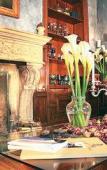 Туры в отель Cafe Cultura Туры в отель Cafe Cultura
