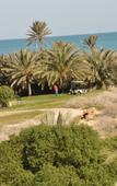 Туры в отель Yadis Djerba Golf Thalasso & Spa Туры в отель Yadis Djerba Golf Thalasso & Spa