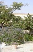 Туры в отель Auberge du Mas de la Feniere Туры в отель Auberge du Mas de la Feniere