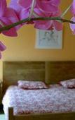 Туры в отель Auberge du Mas de la Feniere Туры в отель Auberge du Mas de la Feniere