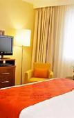 Туры в отель Courtyard Toulouse Airport Туры в отель Courtyard Toulouse Airport