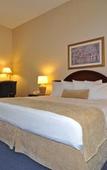 Туры в отель Best Western Plus Travel Hotel Toronto Airport Туры в отель Best Western Plus Travel Hotel Toronto Airport