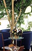 Туры в отель Best Western Auberge de Jons Туры в отель Best Western Auberge de Jons