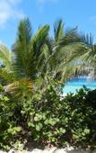 Туры в отель Islazul Punta Blanca Туры в отель Islazul Punta Blanca