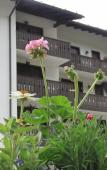 Туры в отель Residence Des Alpes Туры в отель Residence Des Alpes