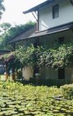 Туры в отель Club Med Phuket Туры в отель Club Med Phuket