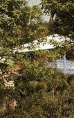 Туры в отель Bel Air Plantation Resort Туры в отель Bel Air Plantation Resort