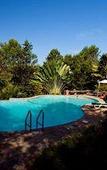 Туры в отель Bel Air Plantation Resort Туры в отель Bel Air Plantation Resort