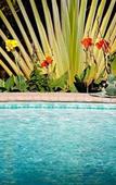 Туры в отель Bel Air Plantation Resort Туры в отель Bel Air Plantation Resort
