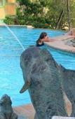 Туры в отель Bel Air Plantation Resort Туры в отель Bel Air Plantation Resort