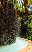 Туры в отель Bel Air Plantation Resort Туры в отель Bel Air Plantation Resort