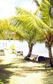 Туры в отель Bel Air Plantation Resort Туры в отель Bel Air Plantation Resort