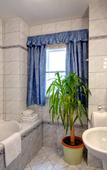 Туры в отель Bishops House Туры в отель Bishops House