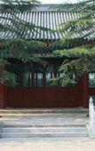 Туры в отель Soluxe Courtyard Туры в отель Soluxe Courtyard