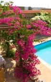 Туры в отель Cyprus Villages Туры в отель Cyprus Villages