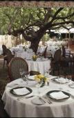 Туры в отель Beverly Hills hotel & Bungalows Туры в отель Beverly Hills hotel & Bungalows