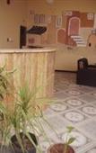 Туры в отель International Arab Divers Village Туры в отель International Arab Divers Village