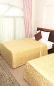Туры в отель Safeer Plaza Туры в отель Safeer Plaza