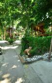 Туры в отель Railay Great View Resort Туры в отель Railay Great View Resort