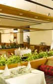 Туры в отель Casino Hotel Туры в отель Casino Hotel