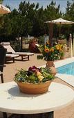 Туры в отель Kreta Natur Туры в отель Kreta Natur