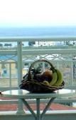 Туры в отель Samos Sun Туры в отель Samos Sun