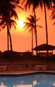 Туры в отель Palm Village Hotel Туры в отель Palm Village Hotel