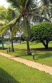 Туры в отель Palm Village Hotel Туры в отель Palm Village Hotel