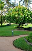 Туры в отель Palm Village Hotel Туры в отель Palm Village Hotel
