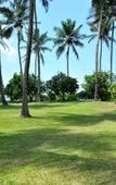 Туры в отель Palm Village Hotel Туры в отель Palm Village Hotel