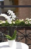 Туры в отель Hotel Campiello Туры в отель Hotel Campiello