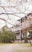 Туры в отель Nara Hotel Туры в отель Nara Hotel