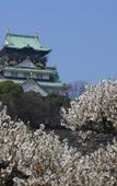 Туры в отель Hearton Hotel Shinsaibashi Туры в отель Hearton Hotel Shinsaibashi