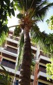 Туры в отель Sun Hill Туры в отель Sun Hill