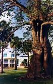 Туры в отель South Beach Hotel Туры в отель South Beach Hotel