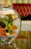 Туры в отель Monaco San Francisco Hotel Туры в отель Monaco San Francisco Hotel
