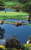 Туры в отель Park Hyatt Aviara Туры в отель Park Hyatt Aviara