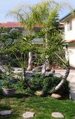 Туры в отель California Suites Туры в отель California Suites