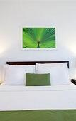 Туры в отель Colony Hotel Туры в отель Colony Hotel