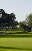 Туры в отель Hotel Indigo Miami Lakes Туры в отель Hotel Indigo Miami Lakes